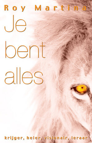 Je bent alles boek Roy Martina