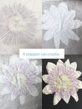 4 stappen van creatie 1