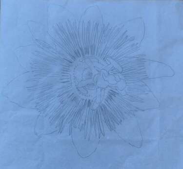 Contour passiebloem