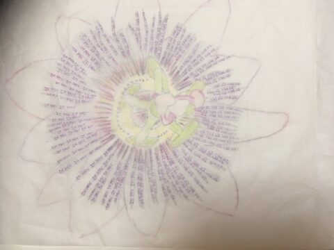 Contour inkleuring met tekst
