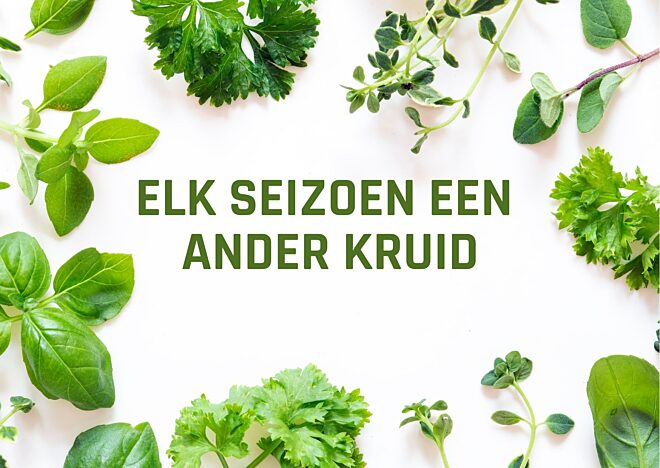 Elk seizoen een ander kruid