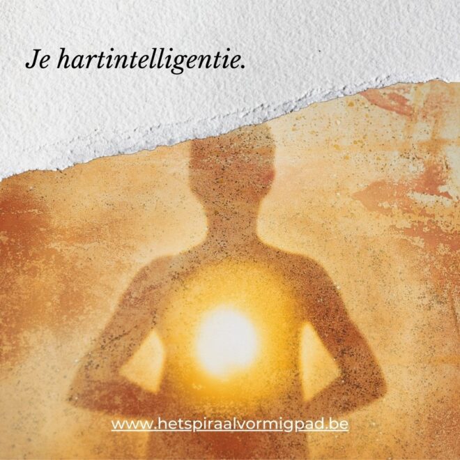 Hartintelligentie