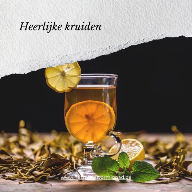 Heerlijke kruiden