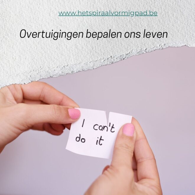 Overtuigingen