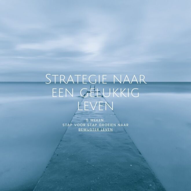 Strategie naar een gelukkig leven 4