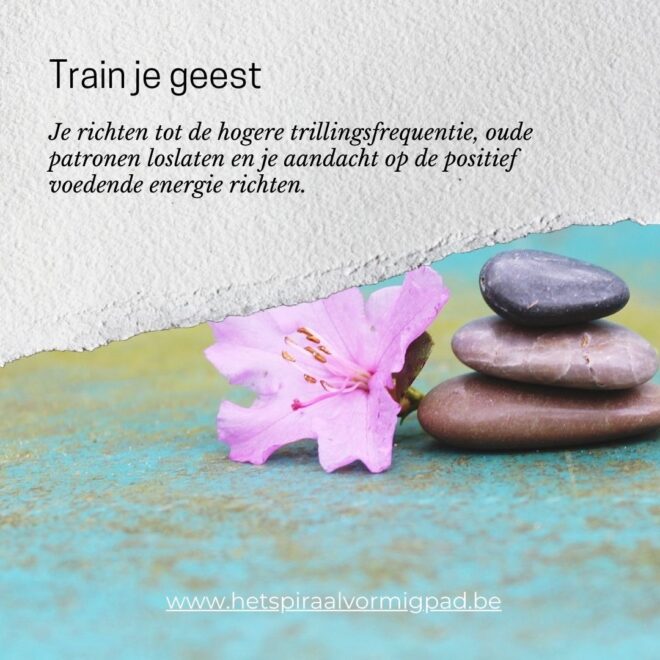 Train je geest 1