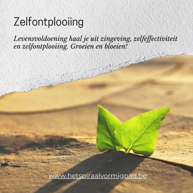 Zelfontplooiing