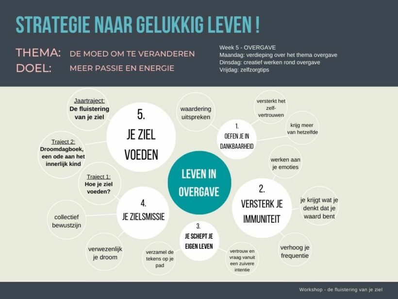 Schema overgave